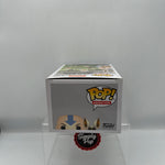 Funko Pop Aang With Momo #534 Avatar The Last Airbender Animation